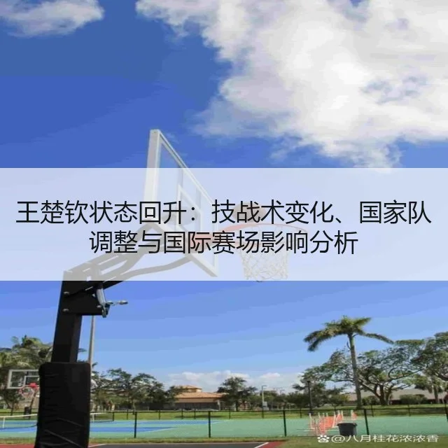 王楚钦状态回升：技战术变化、国家队调整与国际赛场影响分析